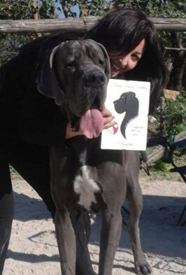 80de0d55-eed7-45f0-93a3-3fb8a6189cd5