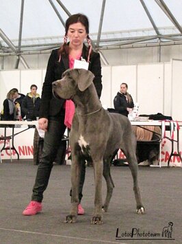 82d134b1-c820-46cf-939a-a3add4cdc9c5