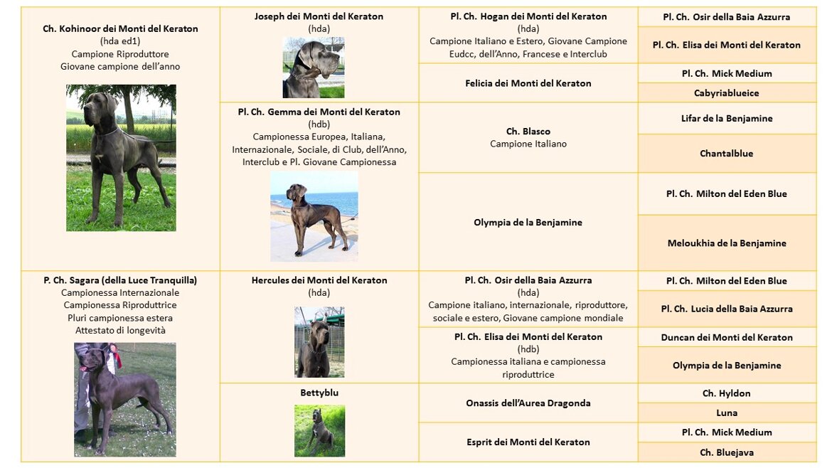 2a50f26b-c001-4510-b8f4-cfaaff221a29