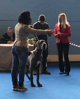 b3680b26-60bf-4e88-9587-dbb23072957f