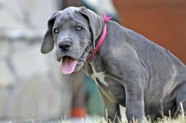 1a1cec62-cff2-472a-89a5-0201d23630bb