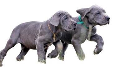 b1e31ff6-bde1-45e5-b16d-2019616fa986