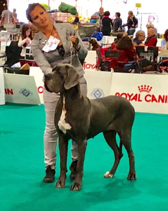 d7df7e09-268e-40b8-a831-b9f9c6123762