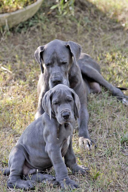 96a39f07-463d-48cc-8459-c4a7b6f8bd4c