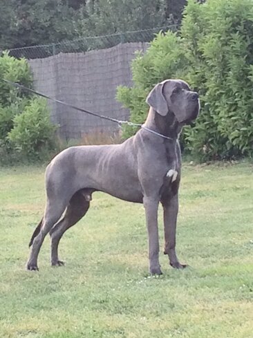 b1d99873-35d0-42f0-919a-899ec0226434