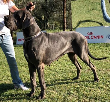 0e87a83d-6724-4fdd-90c4-1a9cb60ad2da