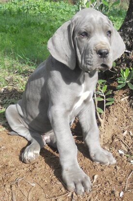 da1967bc-4232-4e10-a506-1cd6afeefc12