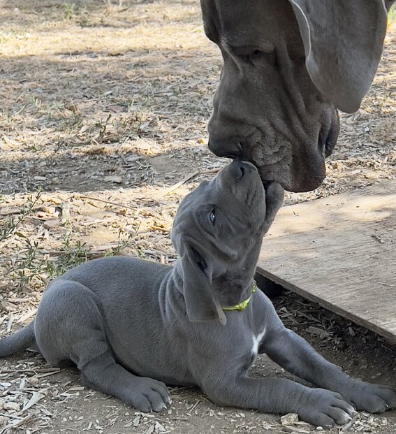 69dbfe48-5429-492c-be6d-a608434d8e0b