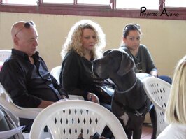 3327704d-3bc7-45e7-9269-2feb17df3775