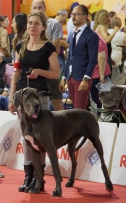 cdaf4de1-f861-46a1-b696-6e454d5c9739