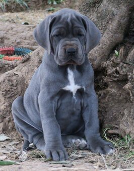 d5a99bb4-72ac-4fc8-815c-11974ed5c0cf