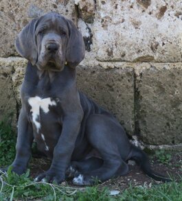 9a9470f4-c8e2-4771-b671-7e35dbbaf424