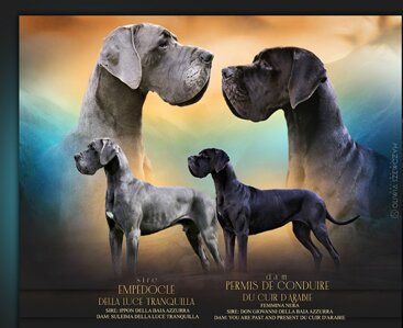 754ff0dc-ac4d-4940-9cc4-f6435f962370