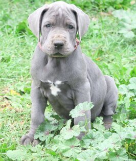 d138157a-77e2-42cc-a181-808deb2f1759