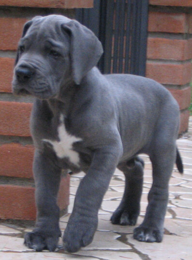 5832511f-5636-40ec-8de8-a7d066133196