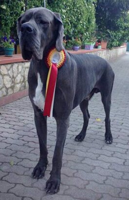 e1cebf5d-cc1b-4a1d-9ff3-7c5666cdbd95