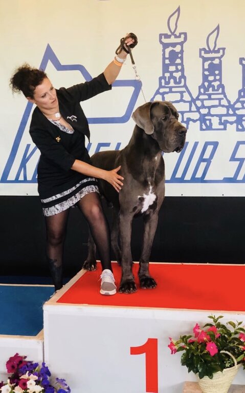 2c4595f7-d509-4033-ad99-ffaf65ca155a