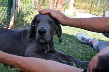 d390d86a-4f70-45bd-a56a-0d6c7ebdf38f