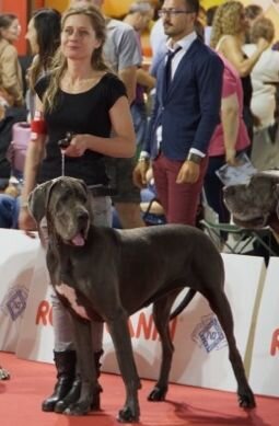 9ecacafd-9e1e-41c7-9133-8ef99515ea6b