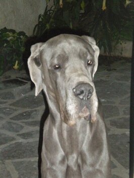 4f844f7b-f6a4-433a-bd20-1acd043da37b