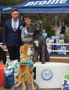 e34dd17e-7636-41fb-aa1f-f9a5257c05de