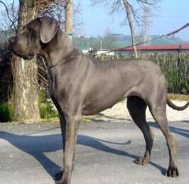 04251d18-8c84-4387-927b-f7e648513b5c