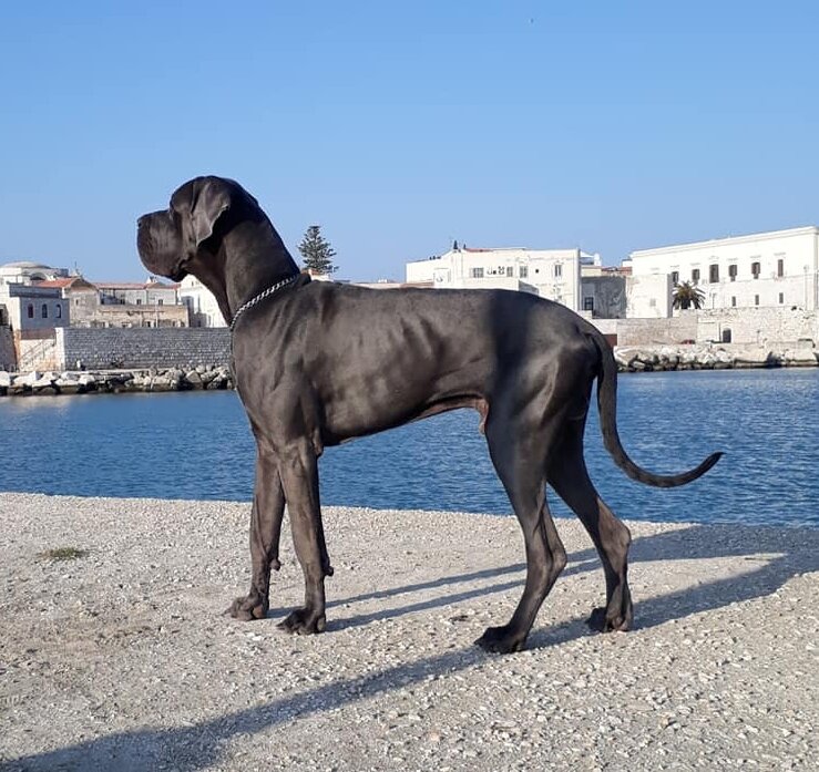 db5074fc-01c7-4106-89b7-b9b7a4736bd9