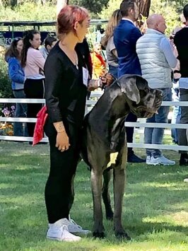 41f24a8d-065a-4566-bb04-85e291217923