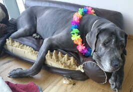 892aa0f0-a2d2-48c9-96a1-01c22a2f26e1