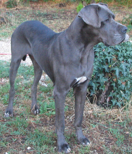 ff87d393-b1de-45bd-9118-cca32fa1946d