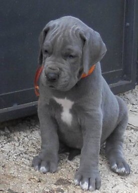 49fd440b-c55c-484a-9507-07a456fb2479