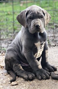 24f619b1-8aa3-4fc2-8feb-fdfbecd5c556