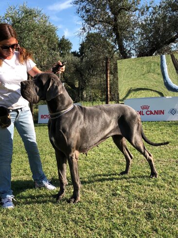 34d14cf2-bb1b-4b5b-a9bd-5f2a18522241