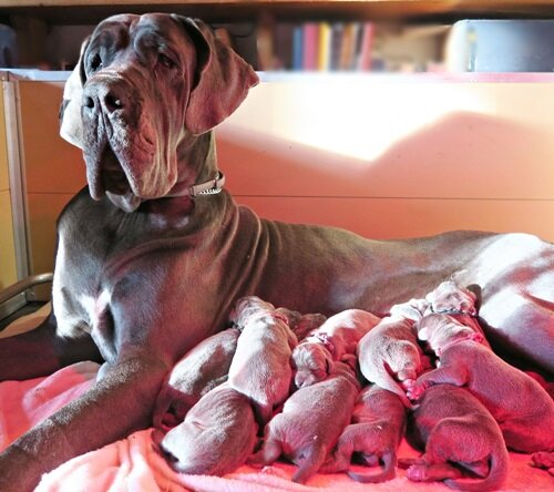 b77ae345-00c7-4ac1-aa8e-ca05b27d5a52