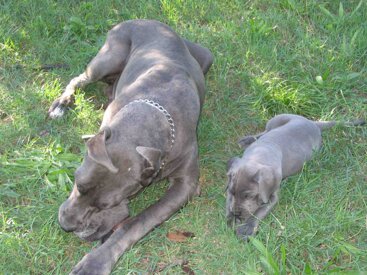 d0eff4bf-565c-43ea-819a-a076f37a3f09