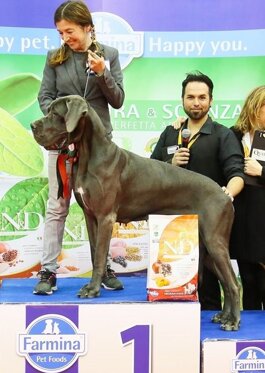 158b7137-a27e-4fba-9563-2aefa320b2f2