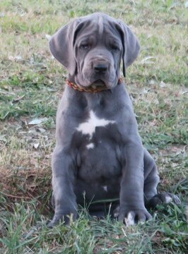 e3956c1f-1f08-4966-be4d-a321949cf744