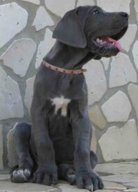 532067b7-71db-4452-b3c9-195bcc1cddcb