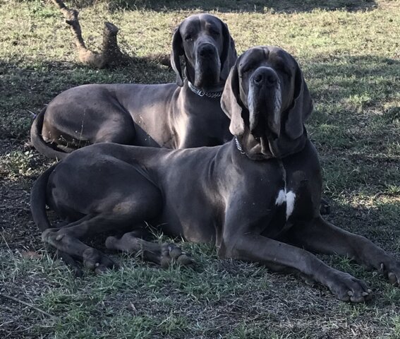 27e52c02-fa39-40cb-9ed4-029a24d8933d