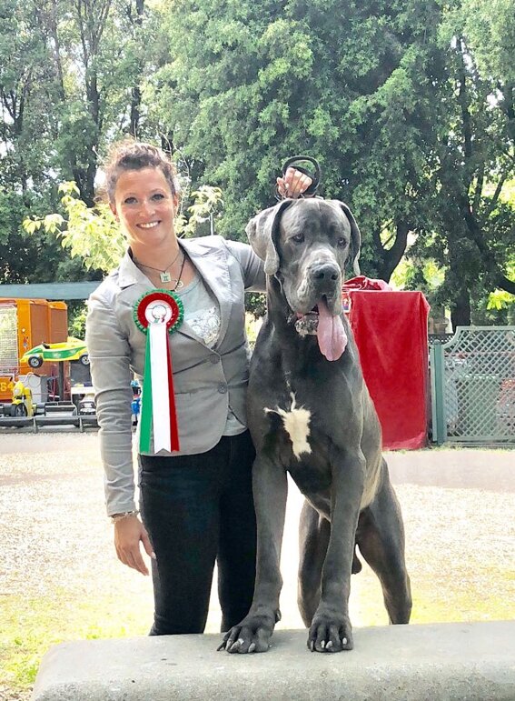 3dd90b09-46c6-4a28-b403-0c2016bf9055