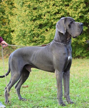 65faad23-fa25-4ea1-b8e6-2a74f4894b9a