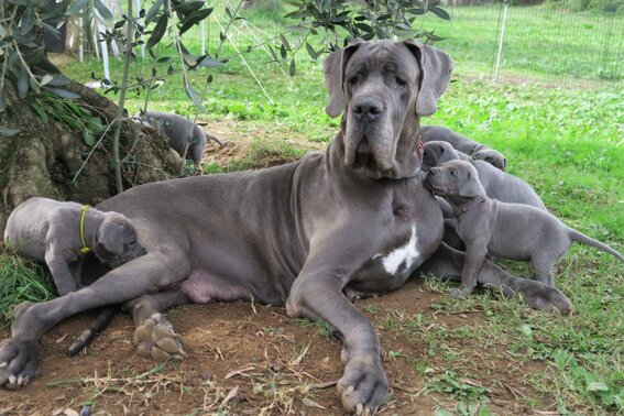 99a4a638-0912-41b6-a901-4051d7406df6