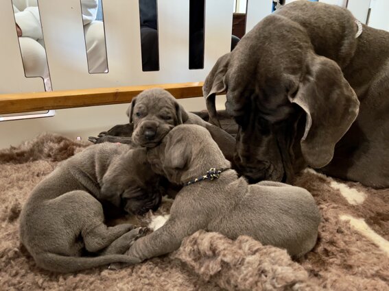 a053735c-a862-4035-a6a1-b055016dcace