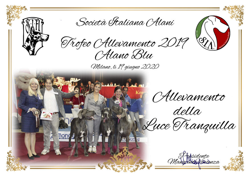 5517809a-caff-4be1-866d-21a9abbb29a6