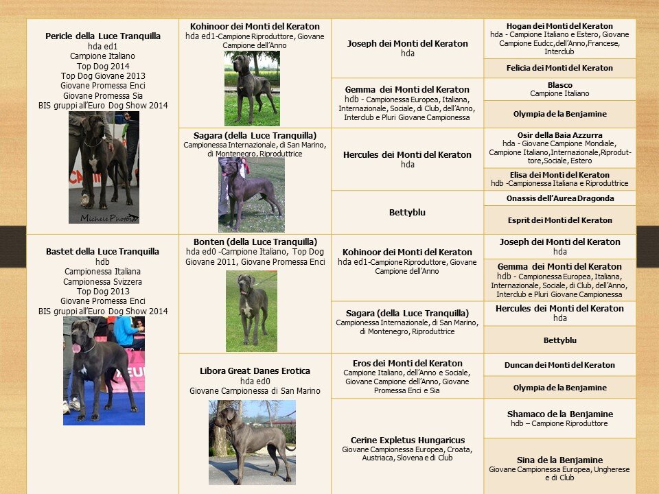 9ea627bf-0616-466b-9875-91091abd904a