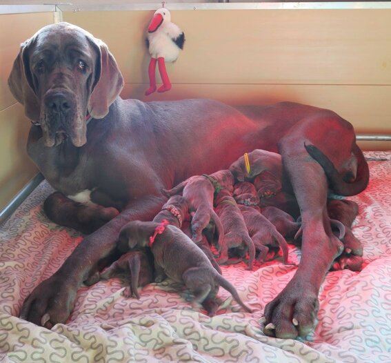 3fa4fbfc-b62b-4b55-a1c2-1cc7784c9852