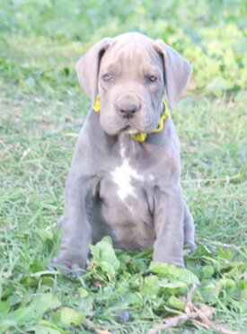 f8049084-c1da-4bbf-9e89-0785d657fef0