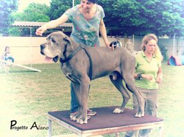 43b393e0-73ec-48b0-b2f5-5e0b3bae8b98