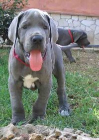 ef062985-e4f5-490c-b389-b0b2f35268f5