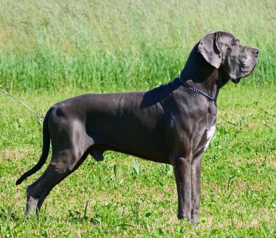 91864017-1b6e-4b08-93a6-7be744a677e7